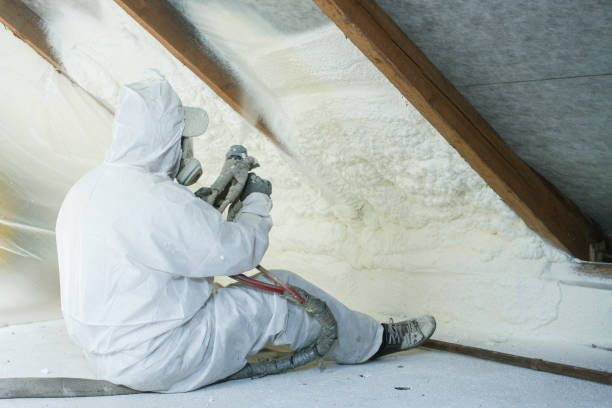 Best Batt and Roll Insulation in Indian Harbour Beach, FL